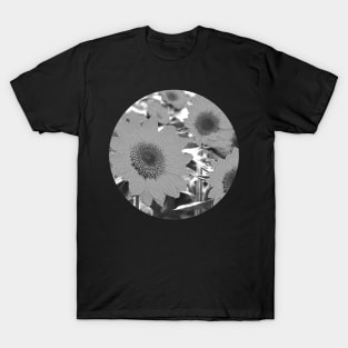 Sunny Field T-Shirt